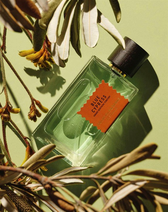 Blue Cypress - 100 ml